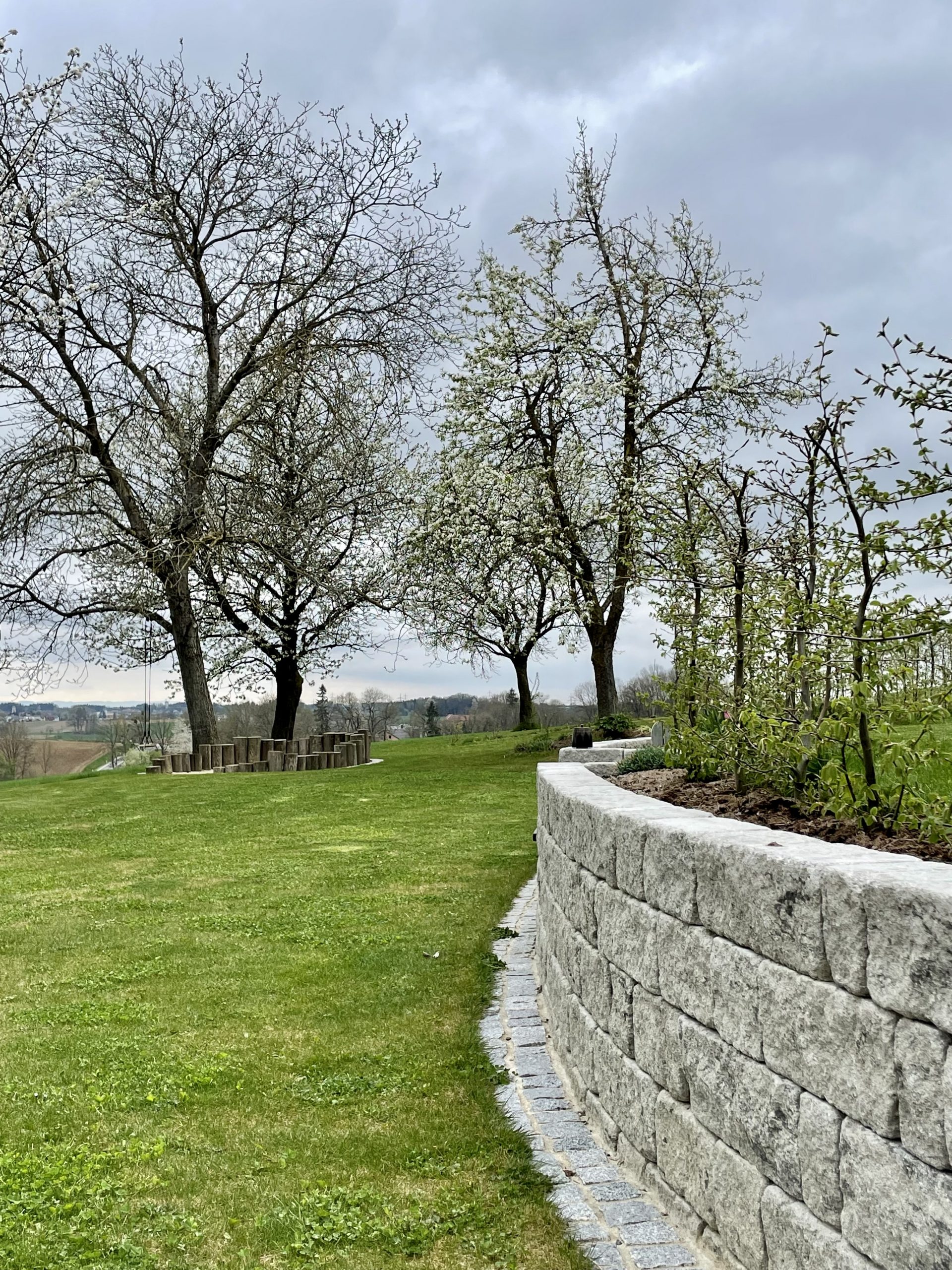 Grüner Garten im Frühling