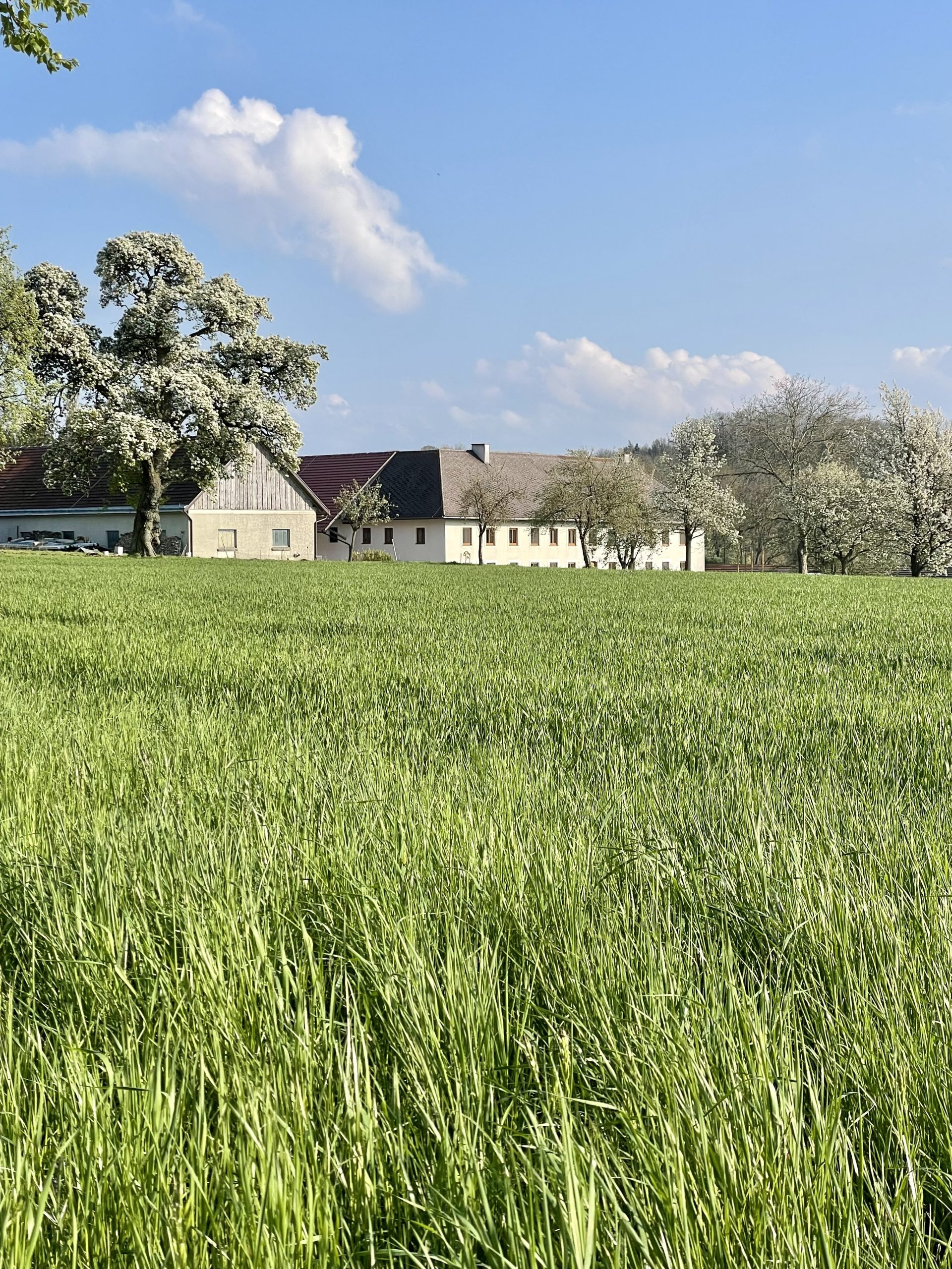 Haus aus Entfernung über's Feld