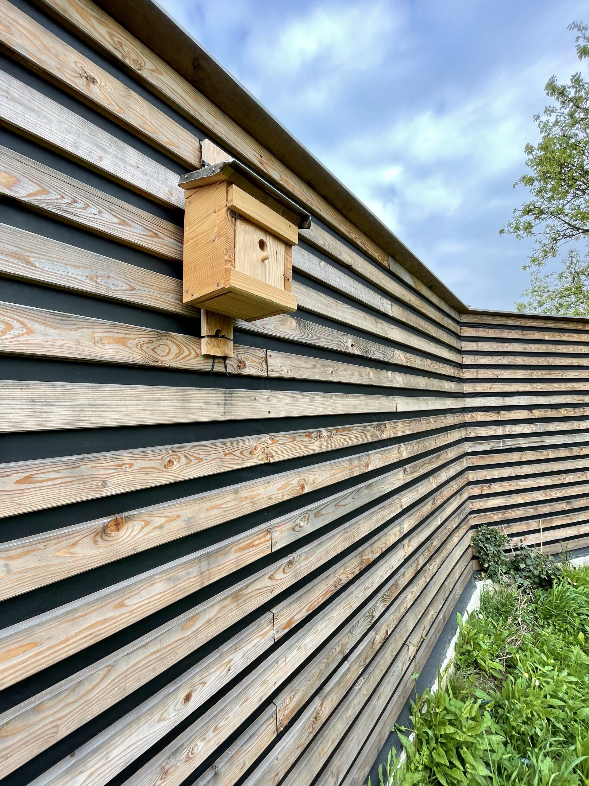 Nistkasten an Lärchenmauer
